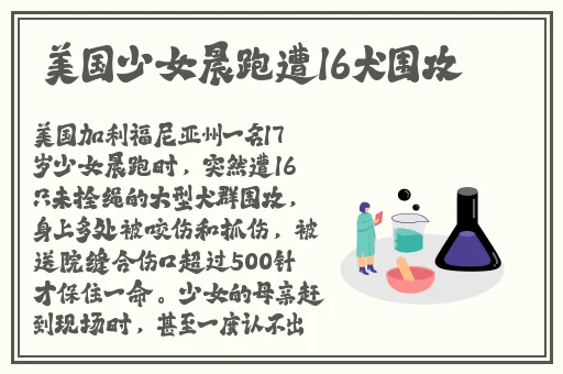 **精品免费看
